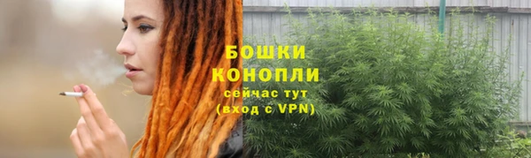 ешки Каменногорск