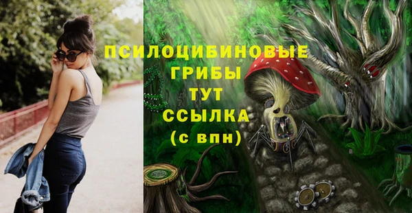 МДПВ Аркадак