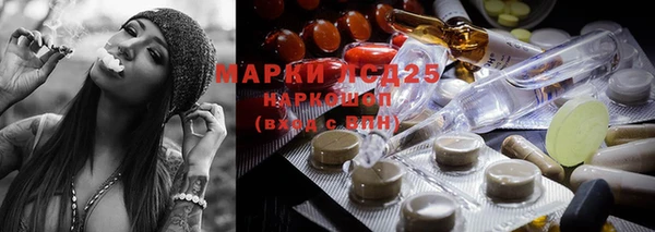 ешки Каменногорск