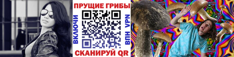 это Telegram Зверево Галлюциногенные грибы MAGIC MUSHROOMS